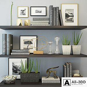 Decor black color