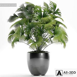 PLANTS 126