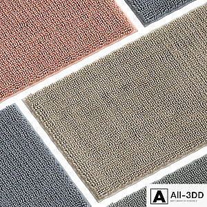 Carpet 025