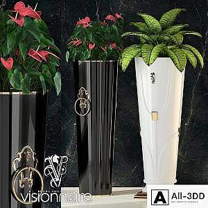 Visionnaire Windsor & Chantilly