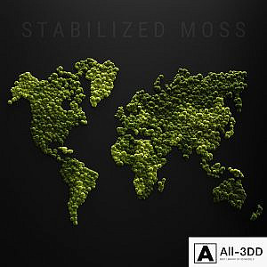 Stabilized moss - world map