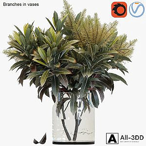 Branches in vases 25