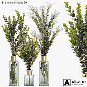 Branches in vases 39