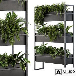 Black Box Plants on stand 05