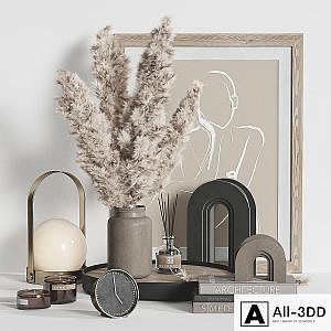 Decorative Set Dried Plant