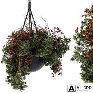 Hanging Pot plant - Set 102