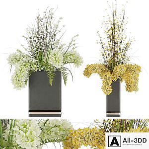 Collection plant vol 56