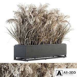 indoor Plant Set 131 - Dried Plant box