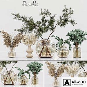 Collection Indoor Plants 01