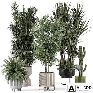 Indoor Plants in Ferm Living Bau Pot Large - Set 362