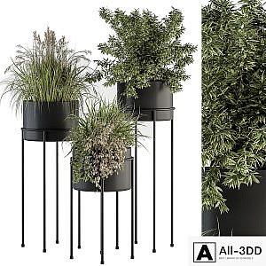 indoor Plant Set 370 - Tree and Plant Set Stand pot