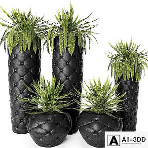 FERN + POTS Fleur Ami, luxury, flower, pot, flowerpot, fern