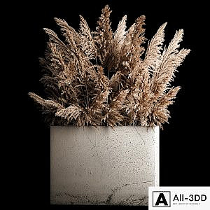 Dried flower bouquet of pampas from dry reeds in a concrete vase of pampas grass, Cortaderia. 268.
