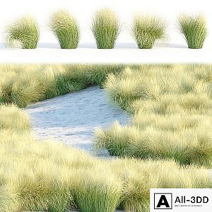 Maram Grass collection vol 155