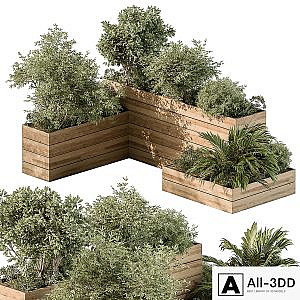 Plant Box - Outdoor Plants 487