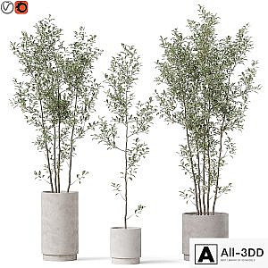 Plants collection 901