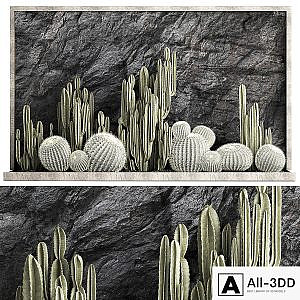 Desert plants cacti with wall rock, black pebbles, cereus, echinocactus, Barrel cactus. Plant collection 1279