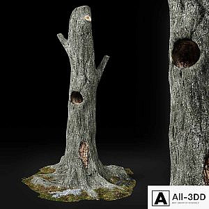 Dead tree Chestnut