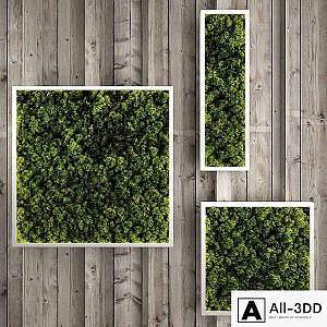 Moss modules
