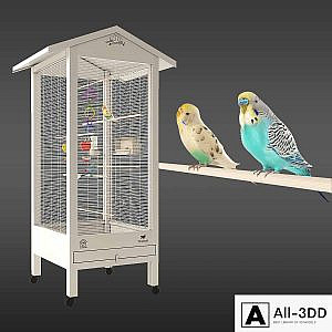 Budgies