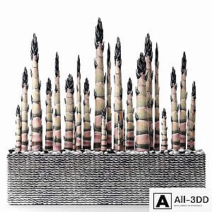 Bamboo. Bamboo shoots, china, japan, decorative, indoor, outdoor, pot, flowerpot, carved stone
