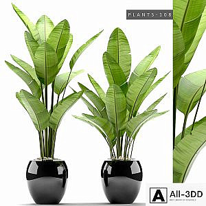 PLANTS 108