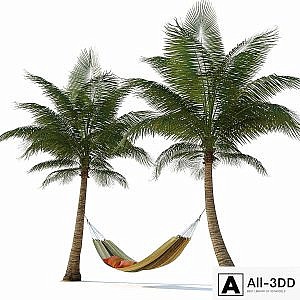 Hammock on palm trees