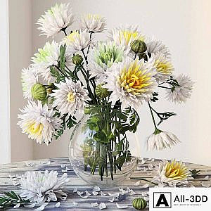 Chrysanthemums