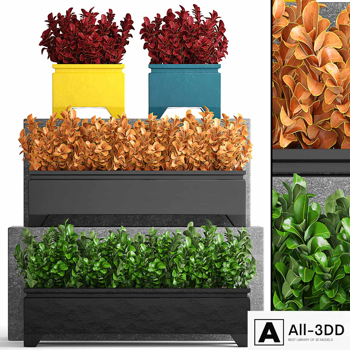 Collection of plants 110. Barberry, Barberry Thunberg, bushes, landscaping, garden flowerpot, outdoor pot, bush modern interior 3D model Collection of plants 110. Barberry, Barberry Thunberg, bushes, landscaping, garden flowerpot, outdoor pot, bush