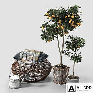 Orange Trees set_03