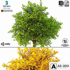 3D Model of the Bush No. 2