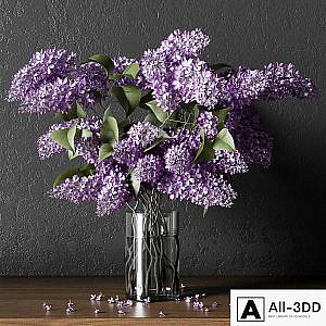 PLANT_004