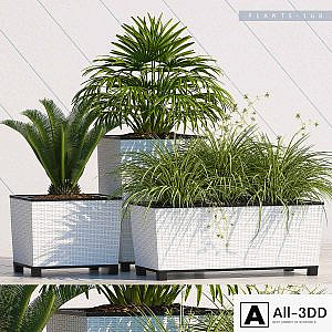 PLANTS 168