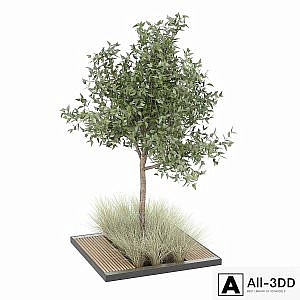 tree