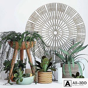 Plant decor set - 1