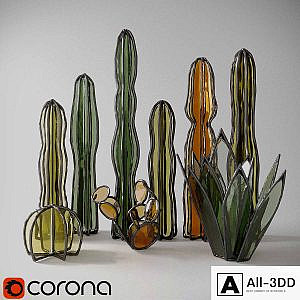 Glass cacti and succulents