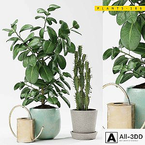 PLANTS 186