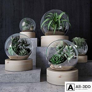 Florarium