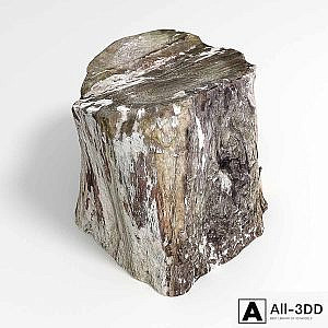 Stump