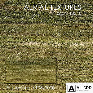 Field with grass 51