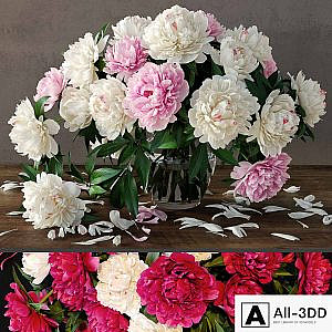 Peonies