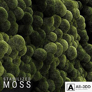 Stabilized Moss 3