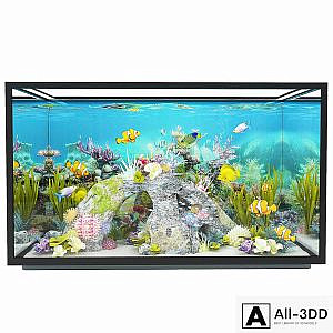 new modern aquarium