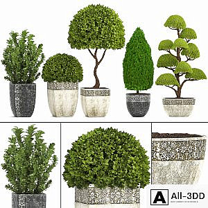 Plant collection 239. Garden plants, landscape design, classic flowerpot, trees, topiary, boxwood