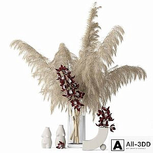 Pampas grass and Cymbidium