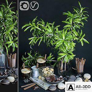 Kitchen set with mango branches