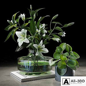 Decorative set 005