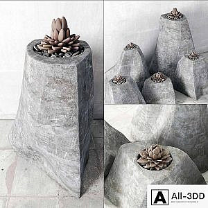 Succulent rock vase