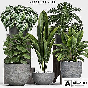 plant set-112