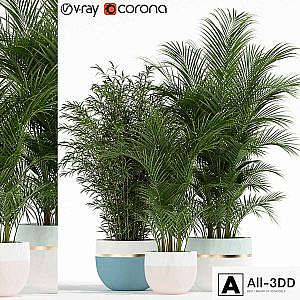 Plants collection 136